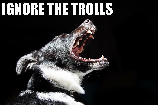 Animal Dog Dangerous