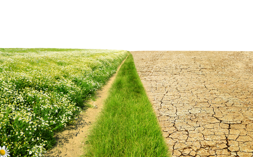 SaaS Marketing Funnel Conversion Rate Benchmarks