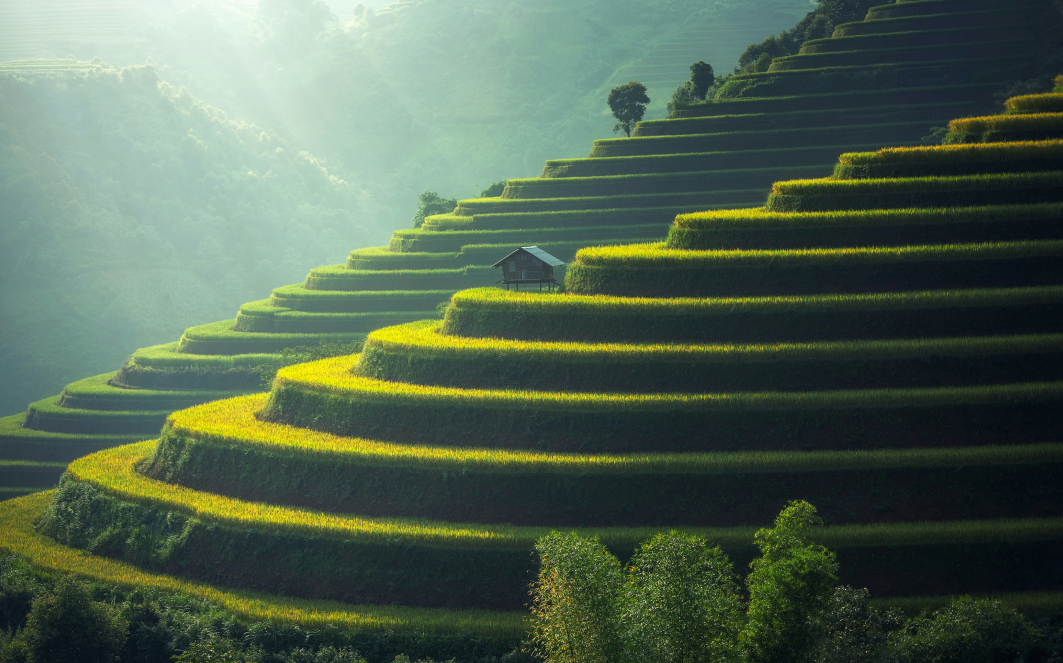 SEO Content Writing Services_ Discover the Best in Business for 2024