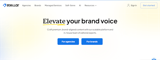 Stellar SEO content writing services
