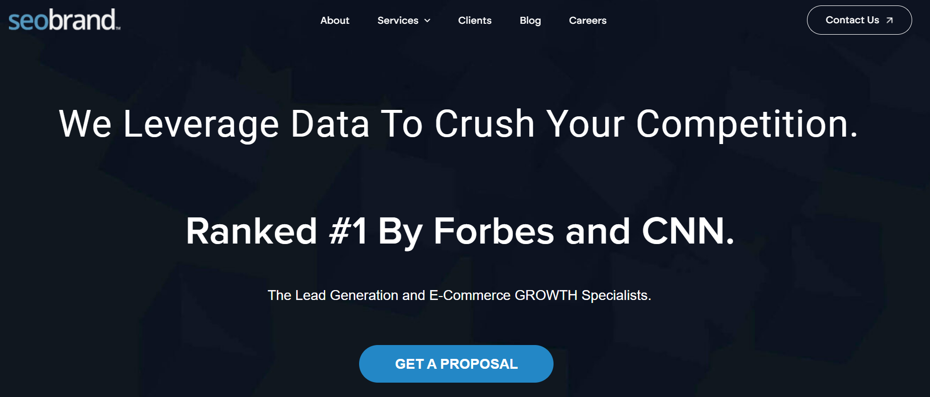 SEO Brand WordPress SEO Agency